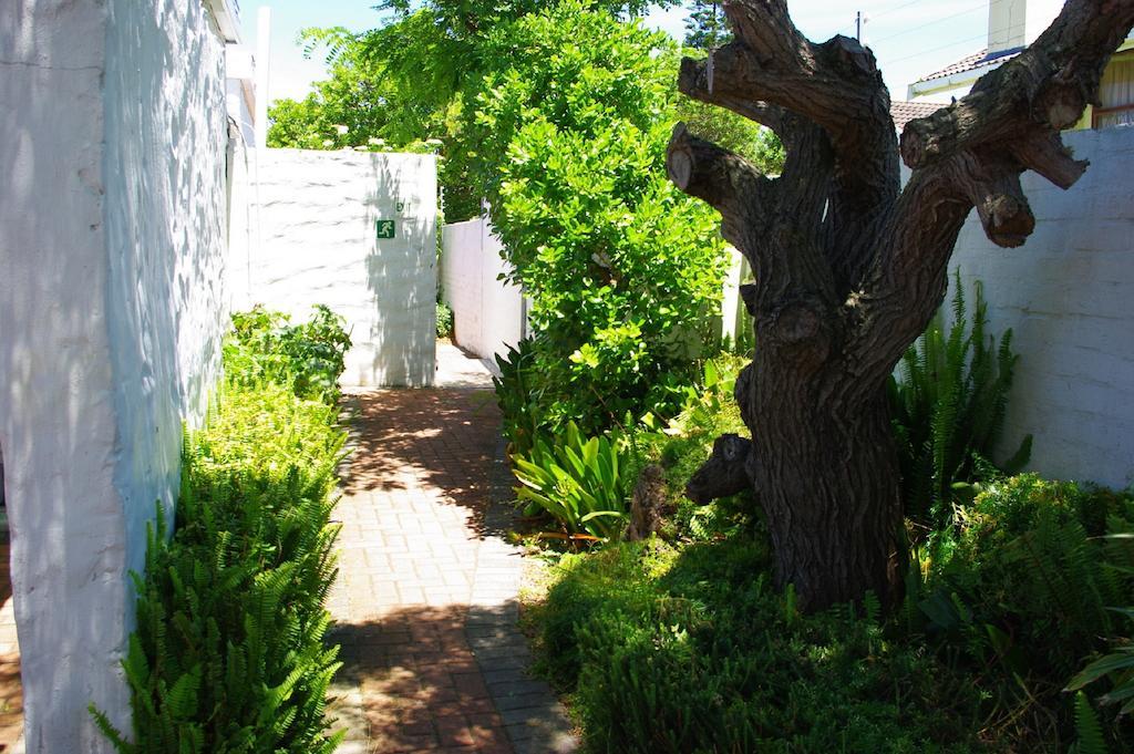 Aqua Marine Guest House Port Elizabeth Dış mekan fotoğraf