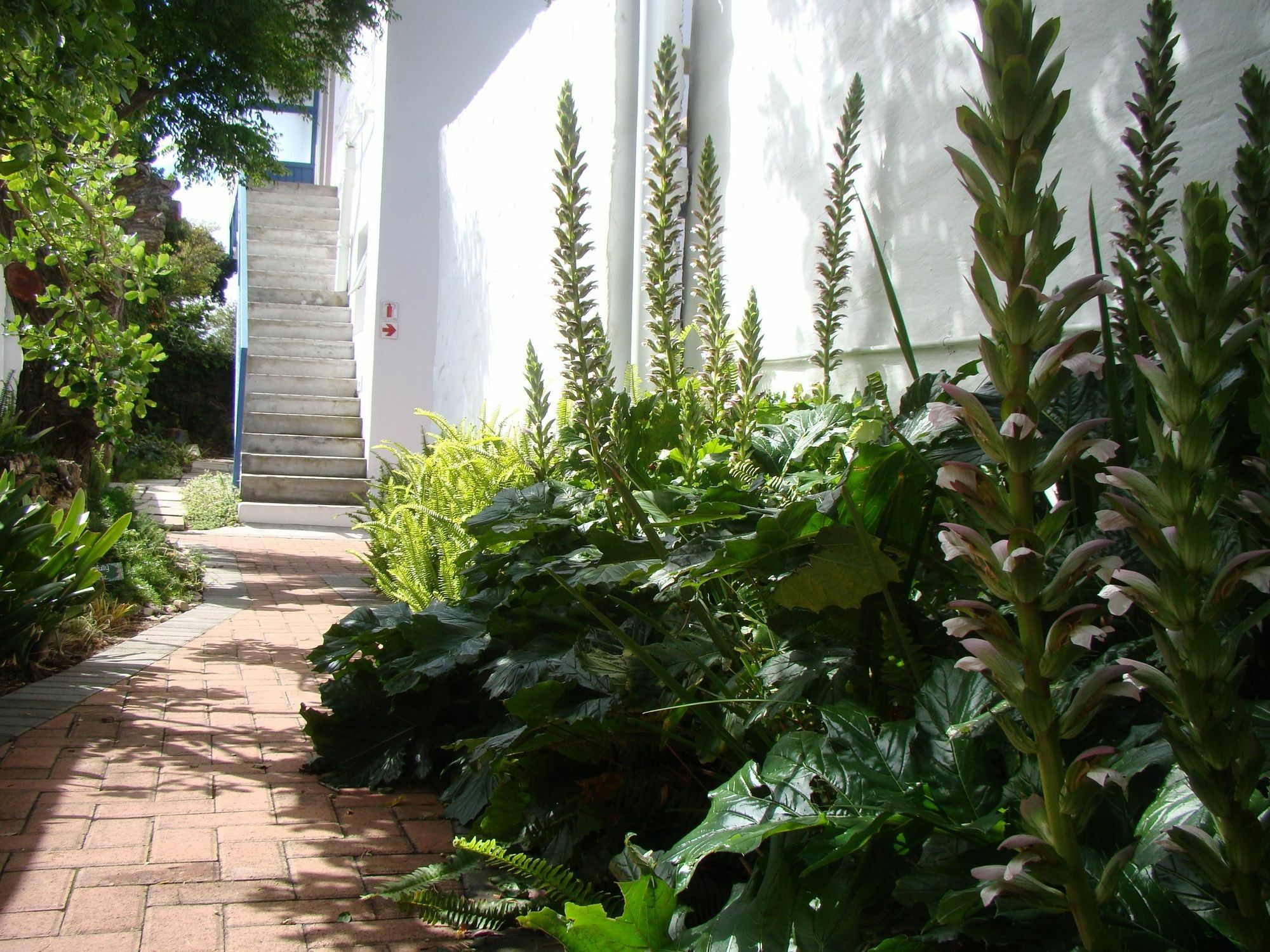Aqua Marine Guest House Port Elizabeth Dış mekan fotoğraf